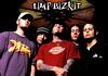 Image of tn_limp_bizkit.jpg